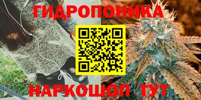 каннабис Малгобек
