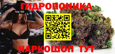 МДМА Можга