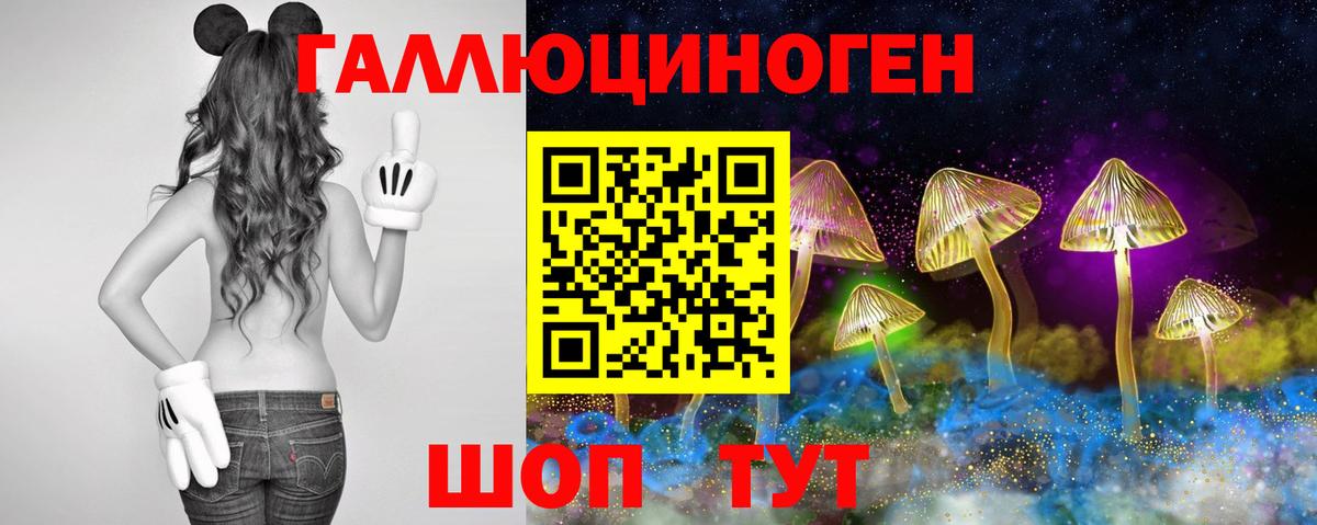 Псилоцибиновые грибы Psilocybe  Вход с VPN  Галлюциногенные грибы Magic Shrooms  Торжок 